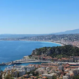 L'olivette France